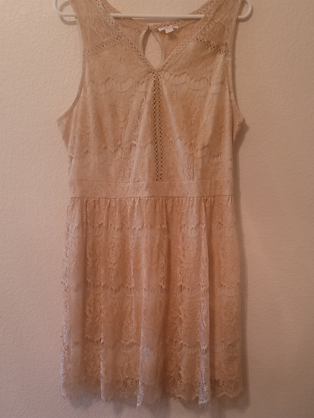 Romantic Sleeveless Lace A-Line Dress in Blush